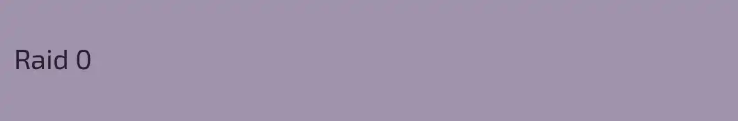 Raid 0